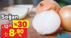 SOĞAN KG SOĞAN KG